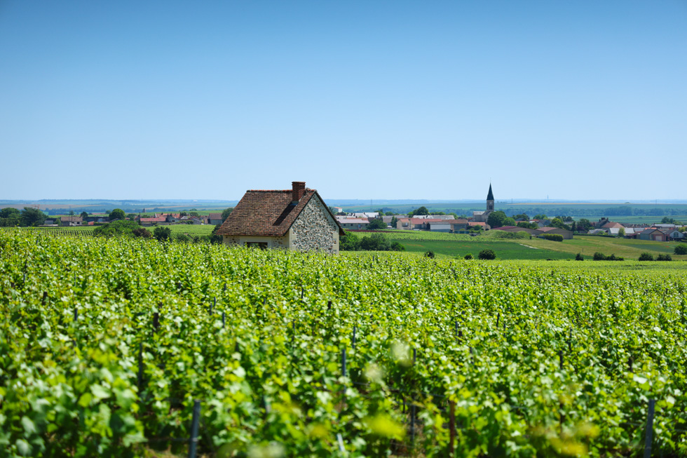 Bouzy patrimoine et histoire
