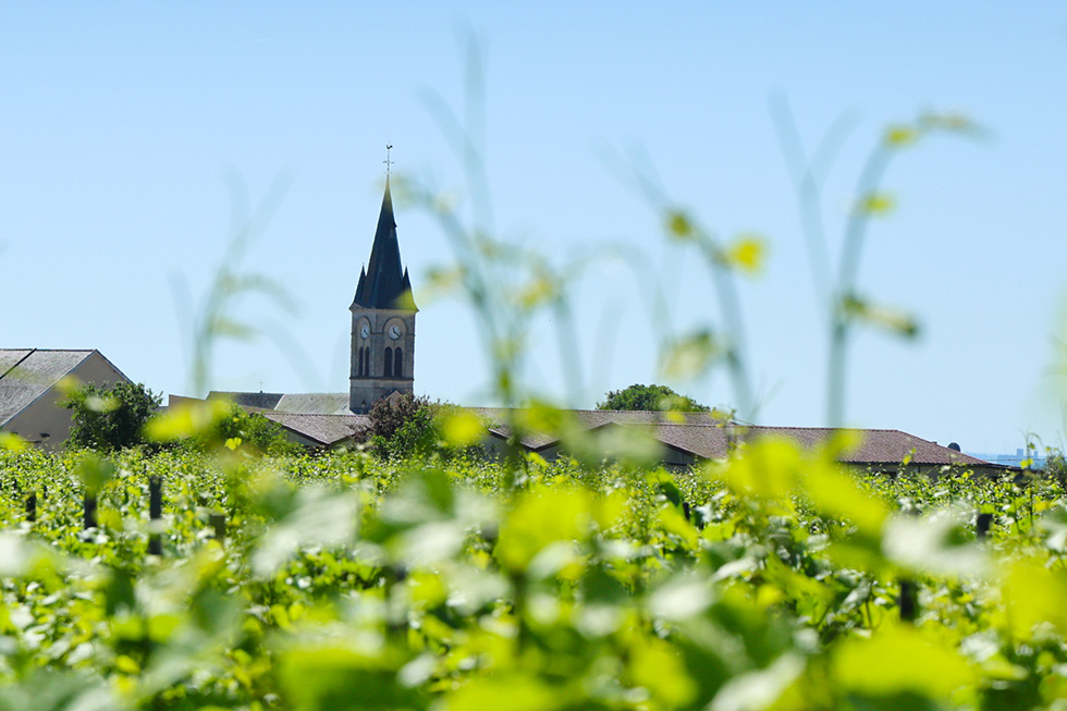 Bouzy patrimoine et histoire