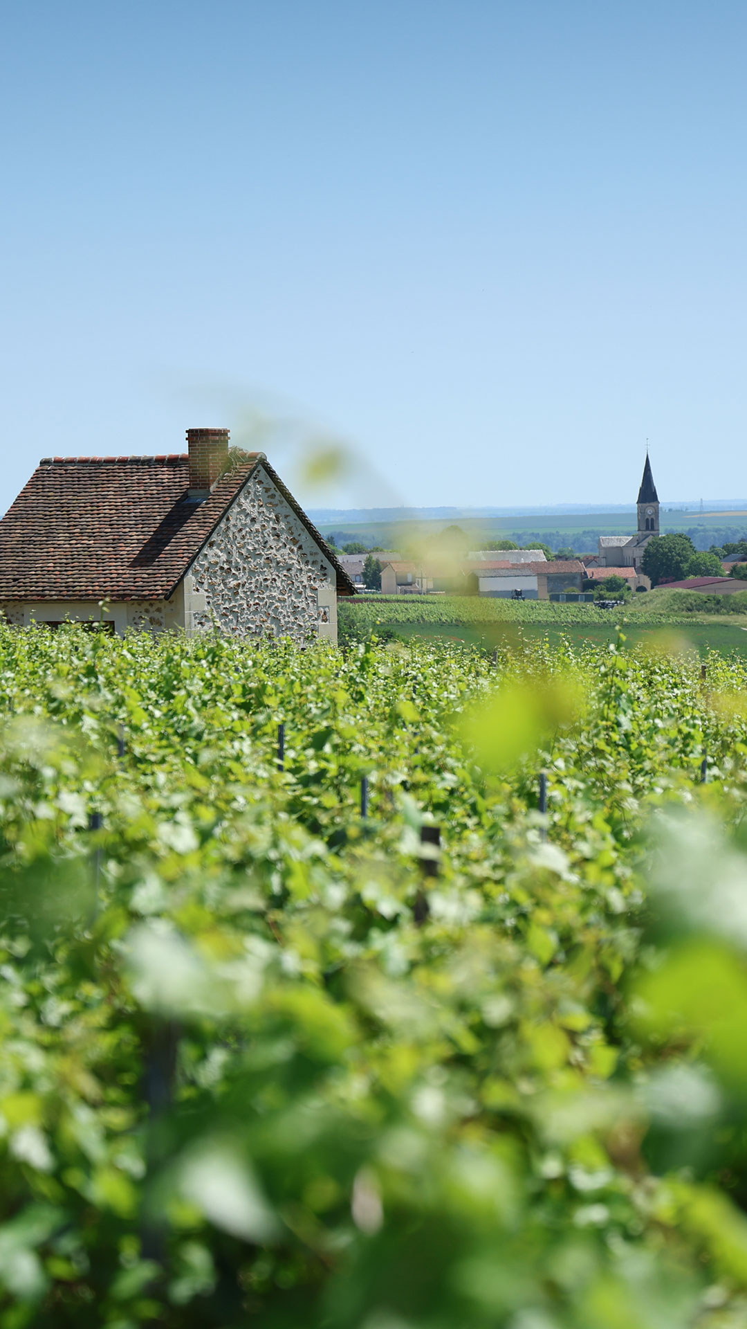 Commune de Bouzy (51150) - Village de Champagne - Mairie de Bouzy