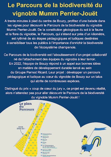 Parcours pédagogique de biodiversité du vignoble Mumm-Perrier-Jouët - BOUZY